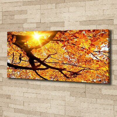 Foto op canvas Herfstboomkroon