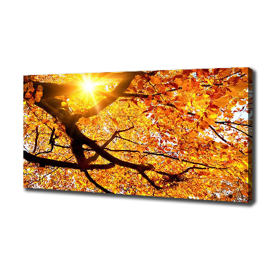 Foto op canvas Herfstboomkroon