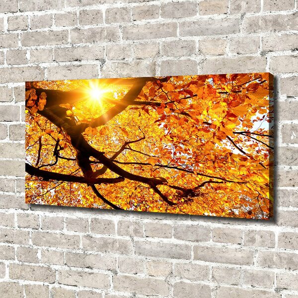 Foto op canvas Herfstboomkroon