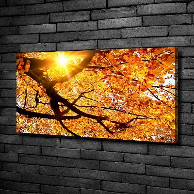 Foto op canvas Herfstboomkroon