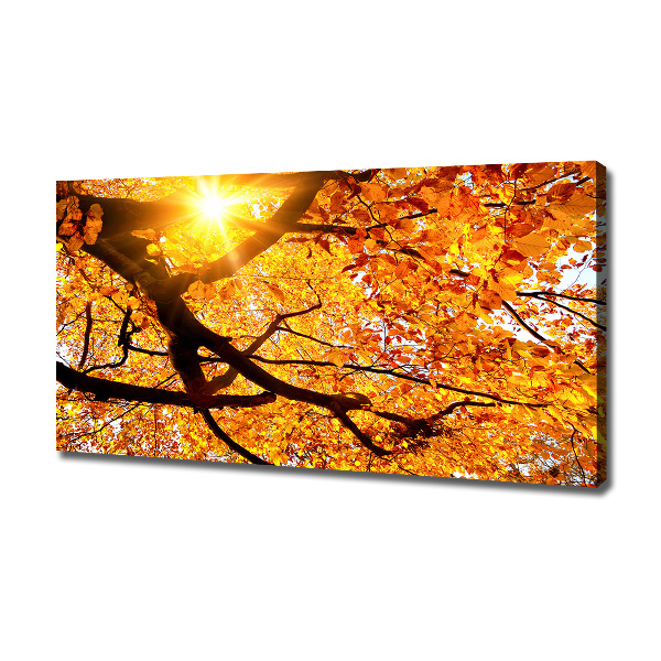Foto op canvas Herfstboomkroon