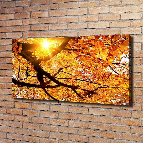 Foto op canvas Herfstboomkroon