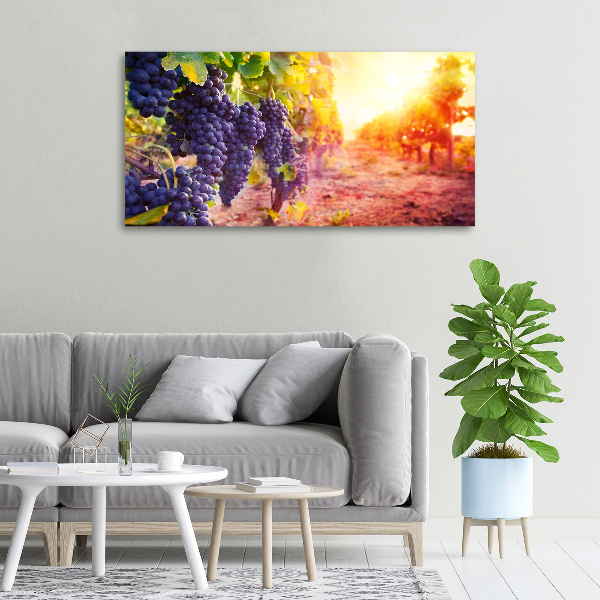 Foto op canvas Wijnranken