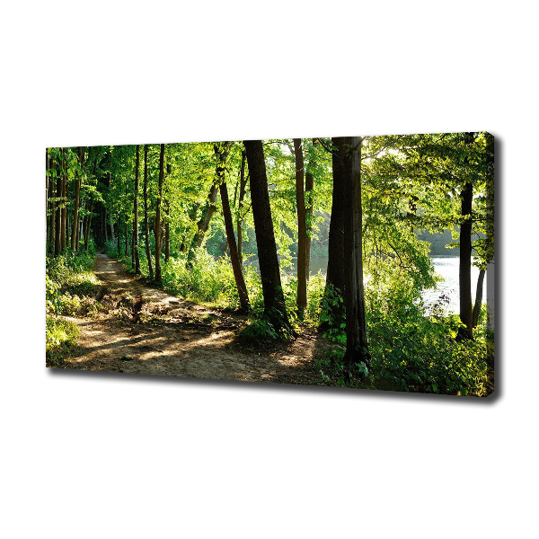 Schilderij op canvas Pad in de weide