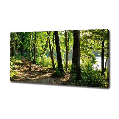 Schilderij op canvas Pad in de weide