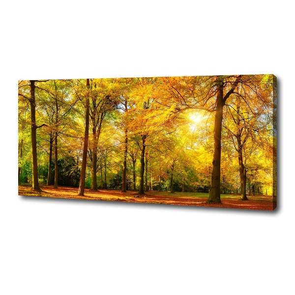 Foto op canvas Bos in de herfst