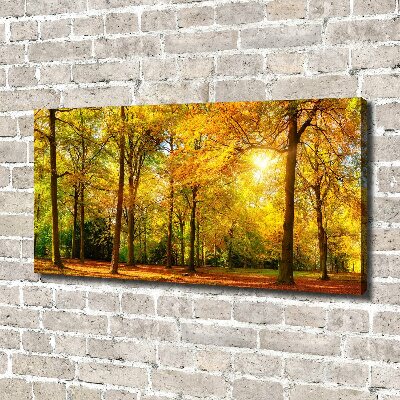 Foto op canvas Bos in de herfst