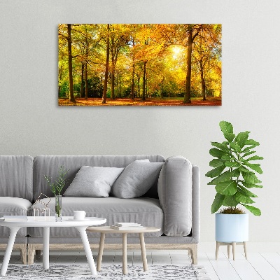 Foto op canvas Bos in de herfst