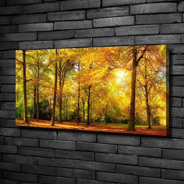 Foto op canvas Bos in de herfst