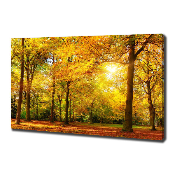 Foto op canvas Bos in de herfst