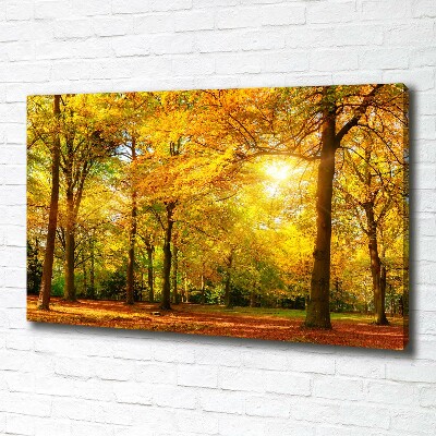 Foto op canvas Bos in de herfst