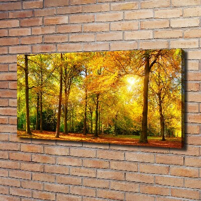 Foto op canvas Bos in de herfst