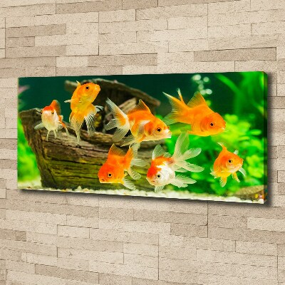 Foto obraz canvas Złote rybki
