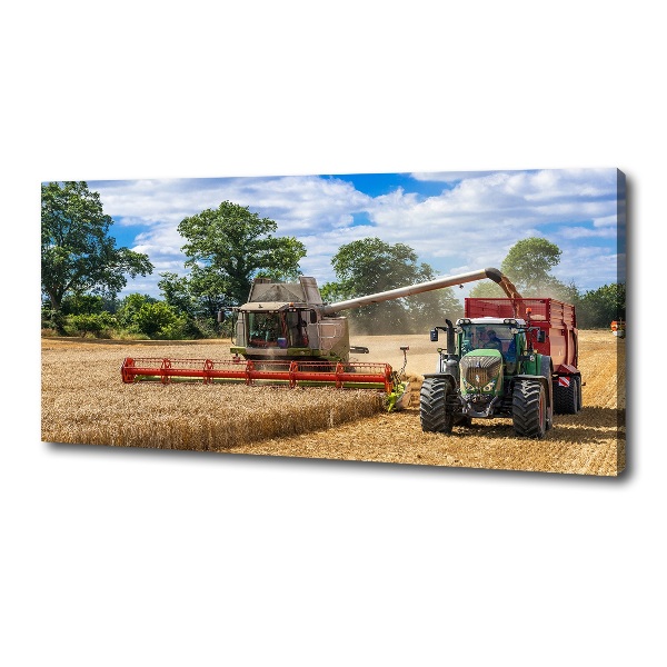 Canvas foto Maaidorser en tractor