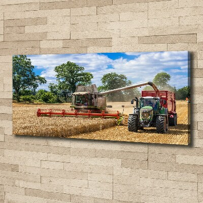 Canvas foto Maaidorser en tractor