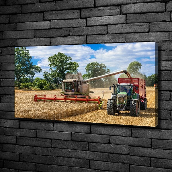 Canvas foto Maaidorser en tractor
