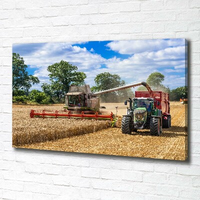 Canvas foto Maaidorser en tractor
