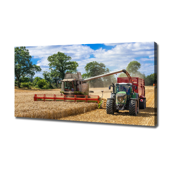 Canvas foto Maaidorser en tractor