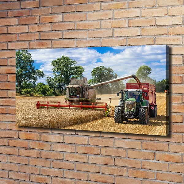 Canvas foto Maaidorser en tractor
