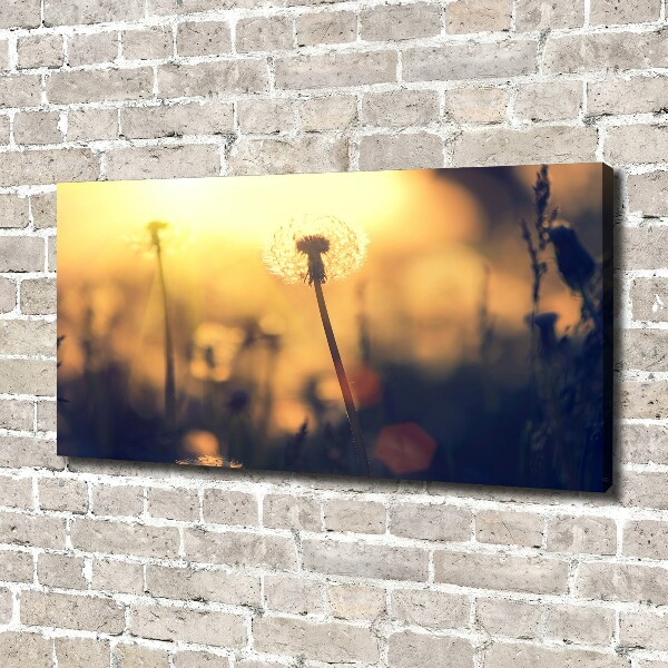Schilderij op canvas Paardebloem