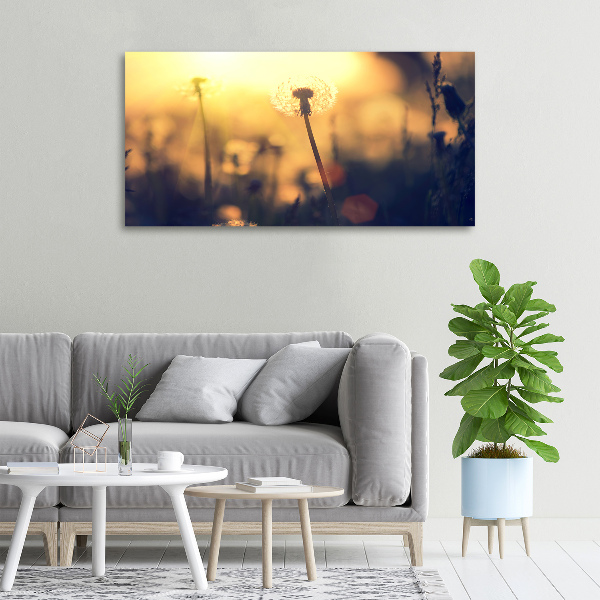 Schilderij op canvas Paardebloem