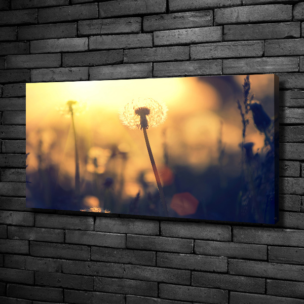 Schilderij op canvas Paardebloem