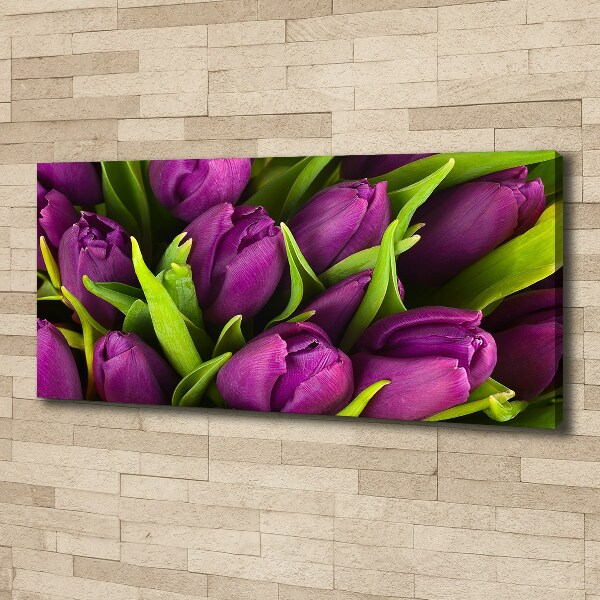 Foto op canvas Paarse tulpen