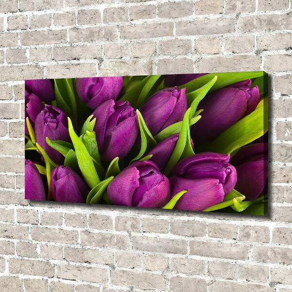 Foto op canvas Paarse tulpen