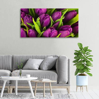 Foto op canvas Paarse tulpen