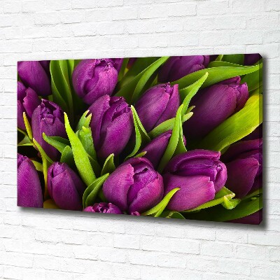Foto op canvas Paarse tulpen