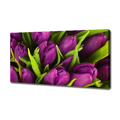 Foto op canvas Paarse tulpen