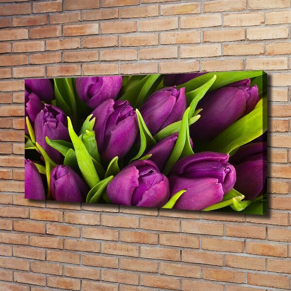 Foto op canvas Paarse tulpen