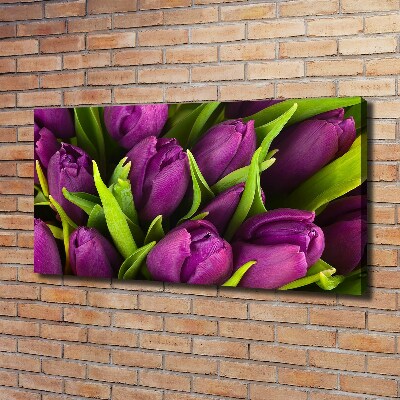 Foto op canvas Paarse tulpen