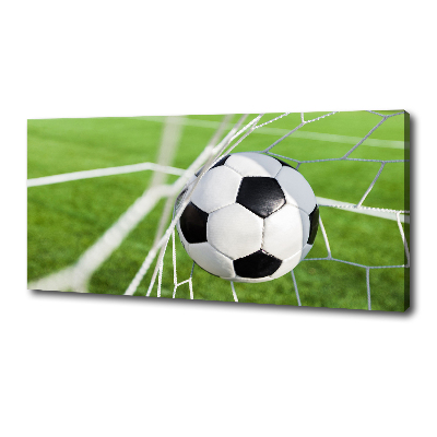 Canvas foto De bal ligt in het doel.