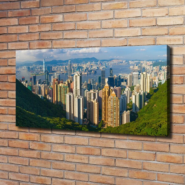 Foto canvas Panorama van Hongkong