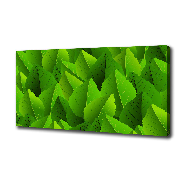 Canvas foto Groene bladeren