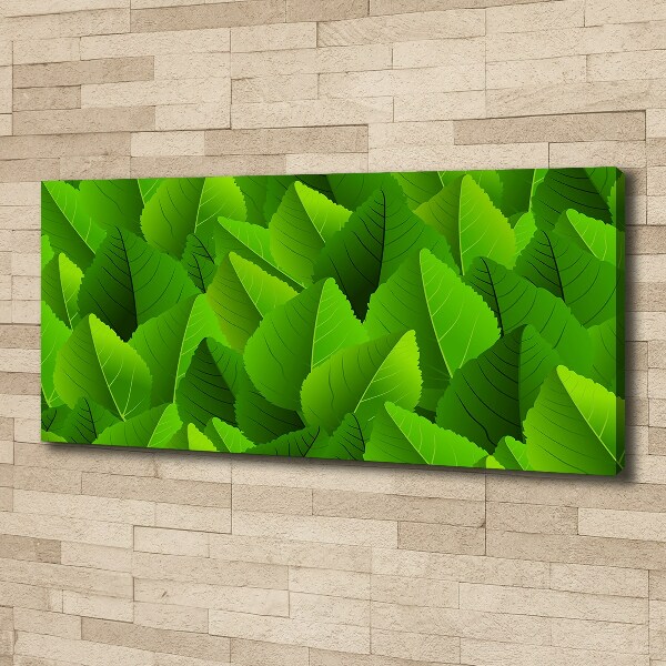Canvas foto Groene bladeren