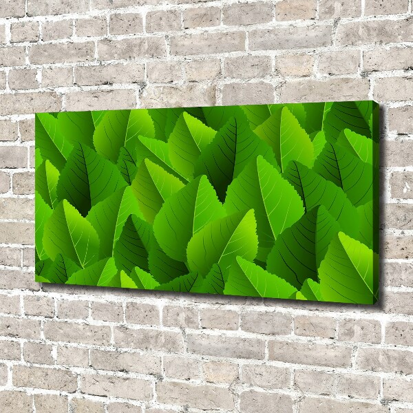 Canvas foto Groene bladeren