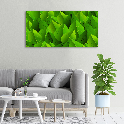 Canvas foto Groene bladeren
