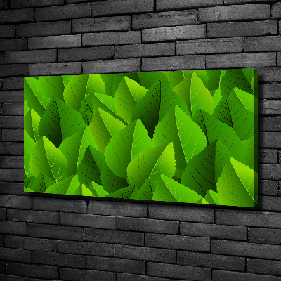 Canvas foto Groene bladeren