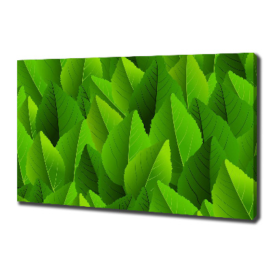 Canvas foto Groene bladeren