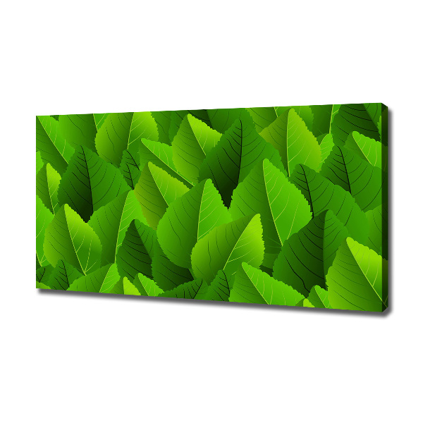 Canvas foto Groene bladeren