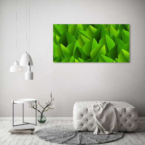 Canvas foto Groene bladeren
