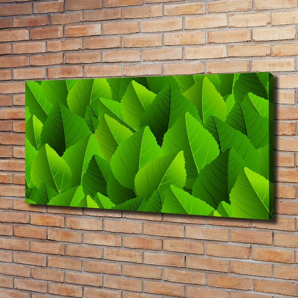 Canvas foto Groene bladeren