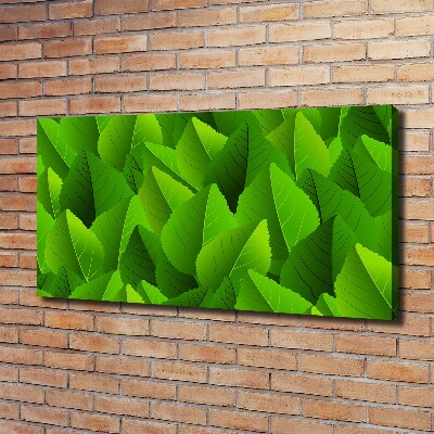 Canvas foto Groene bladeren