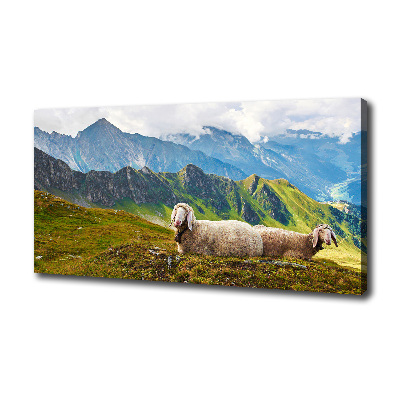 Foto canvas Schapen in de Alpen
