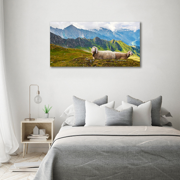 Foto canvas Schapen in de Alpen