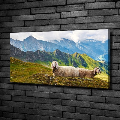Foto canvas Schapen in de Alpen