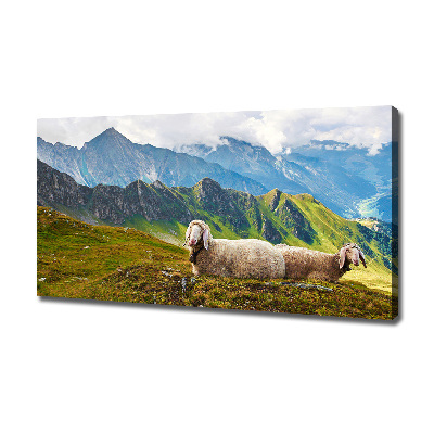 Foto canvas Schapen in de Alpen