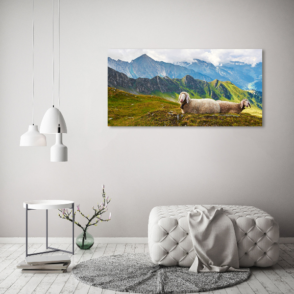 Foto canvas Schapen in de Alpen